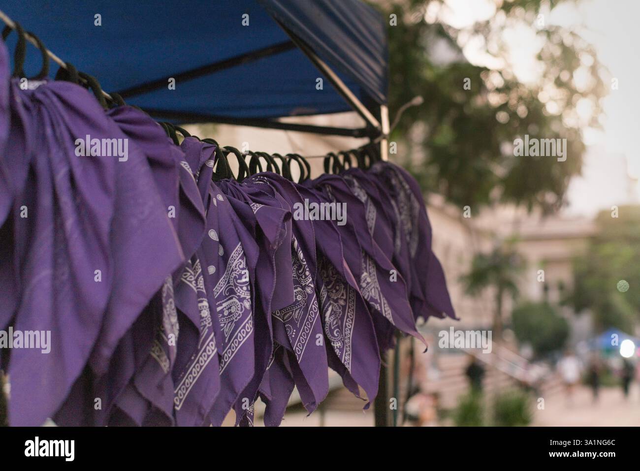 Violette Tücher hängen an einem Straßenstand zum Internationalen Frauentag. Stockfoto
