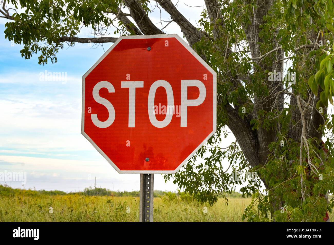Halten Sie das Straßenschild an der Seite einer Landstraße. Keine Personen. Stockfoto