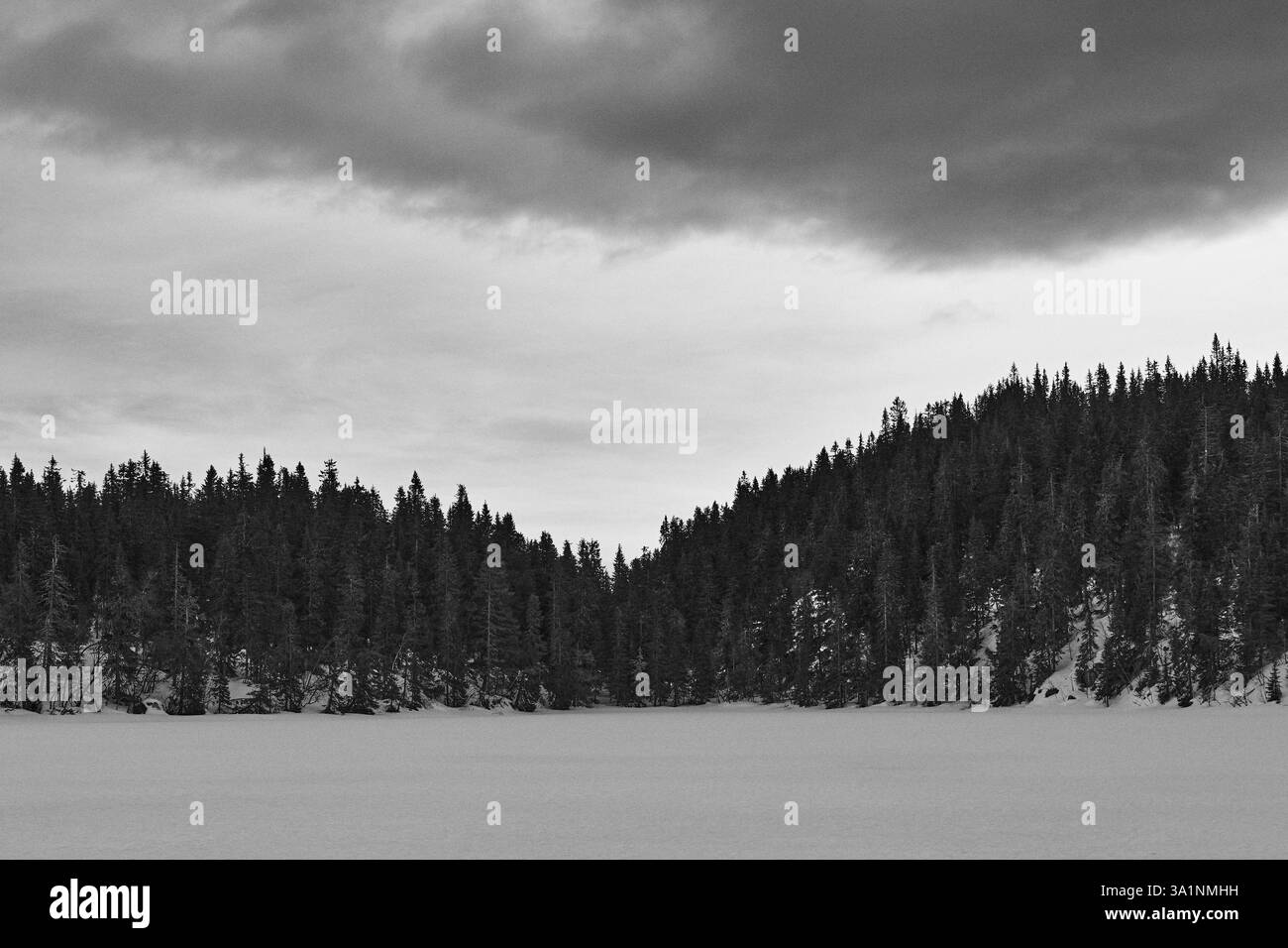 Winterfotografie rund um den Tjuvåstjernet-See, Teil des Totenåsen-Hügels, Norwegen, März 2025. Stockfoto