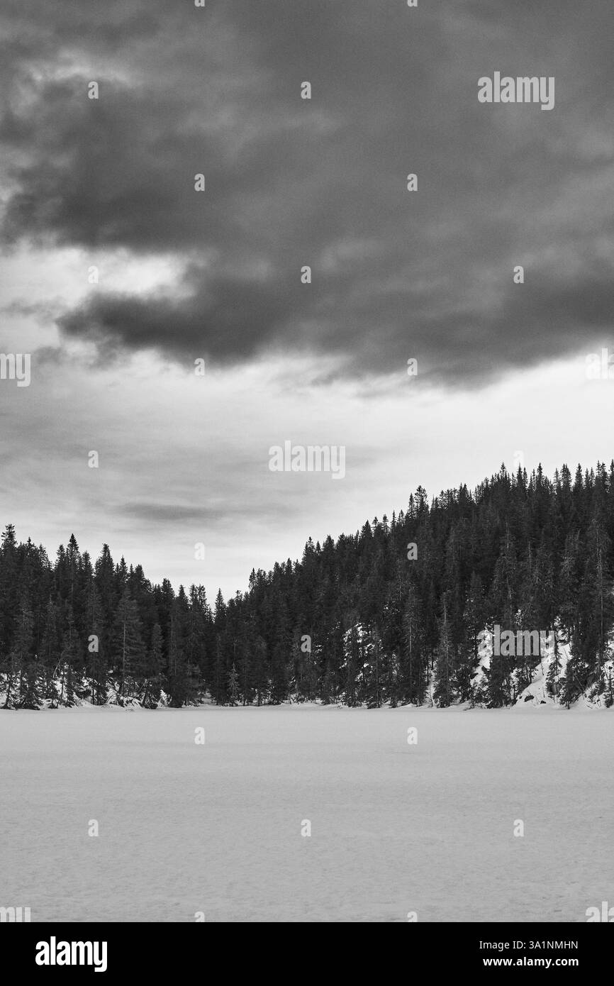 Winterfotografie rund um den Tjuvåstjernet-See, Teil des Totenåsen-Hügels, Norwegen, März 2025. Stockfoto