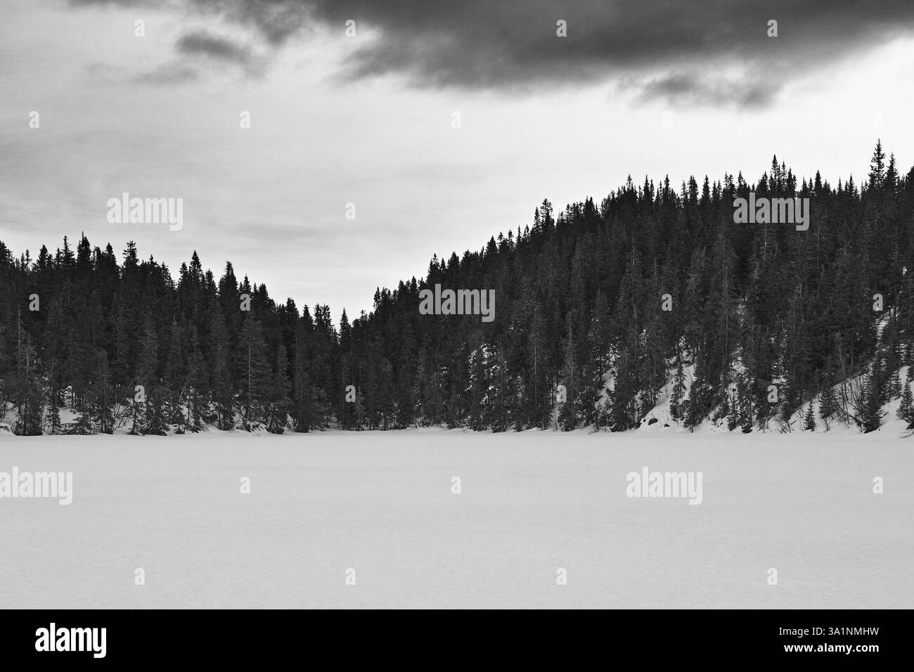 Winterfotografie rund um den Tjuvåstjernet-See, Teil des Totenåsen-Hügels, Norwegen, März 2025. Stockfoto