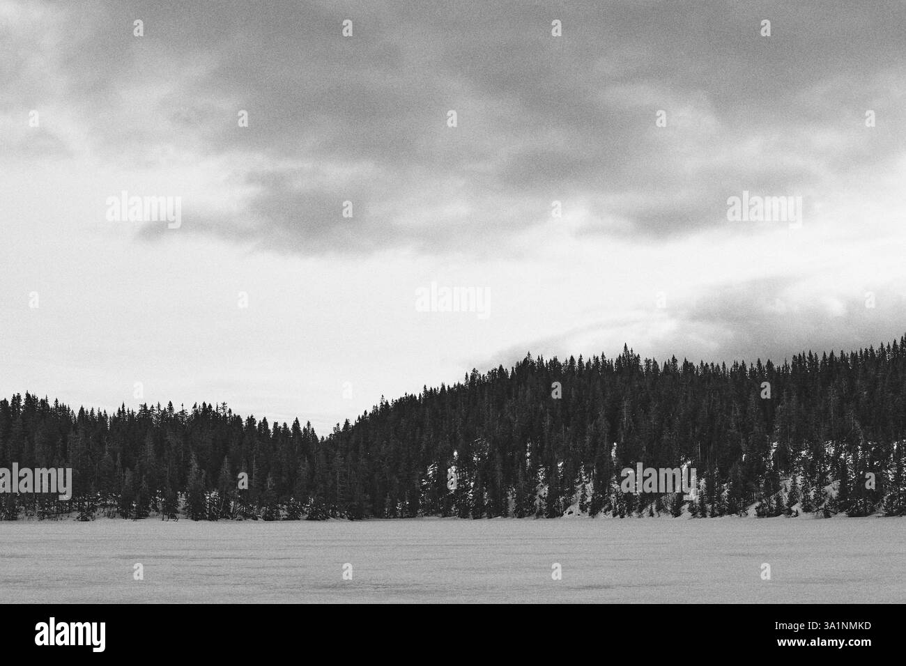 Winterfotografie rund um den Tjuvåstjernet-See, Teil des Totenåsen-Hügels, Norwegen, März 2025. Stockfoto