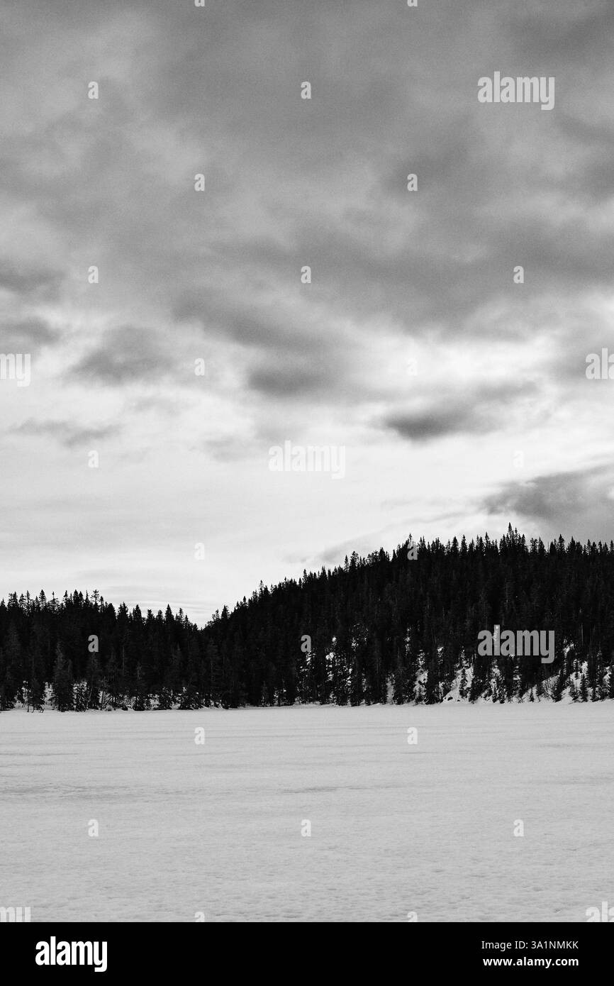 Winterfotografie rund um den Tjuvåstjernet-See, Teil des Totenåsen-Hügels, Norwegen, März 2025. Stockfoto