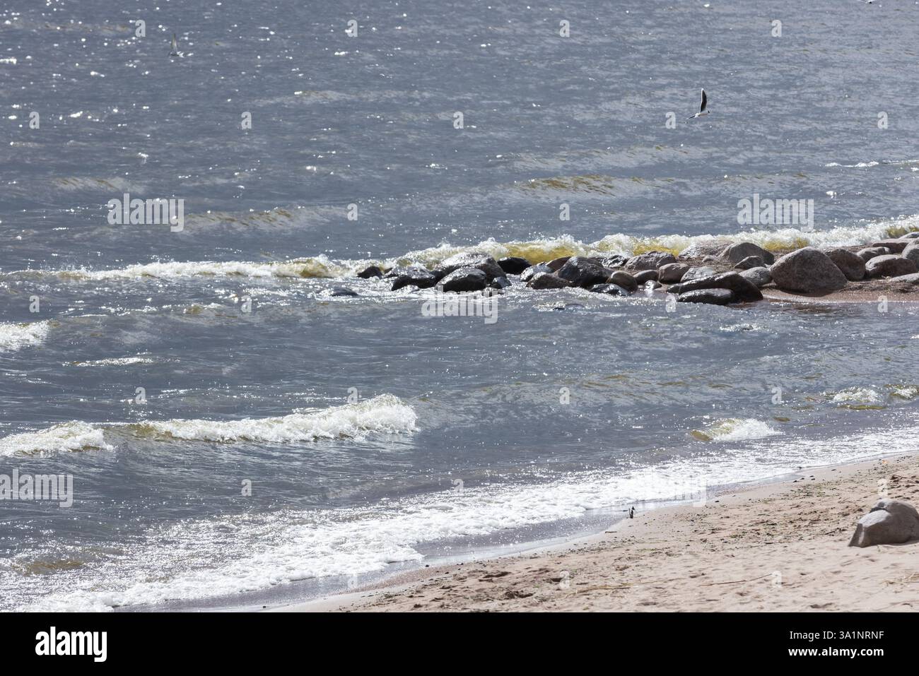 Ruhiger Blick auf das Meer mit sanften Wellen, die auf Felsen krachen, und einem Sandstrand, der Ruhe und natürliche Schönheit weckt. Naturfotografie, aufgenommen in den North Coas Stockfoto
