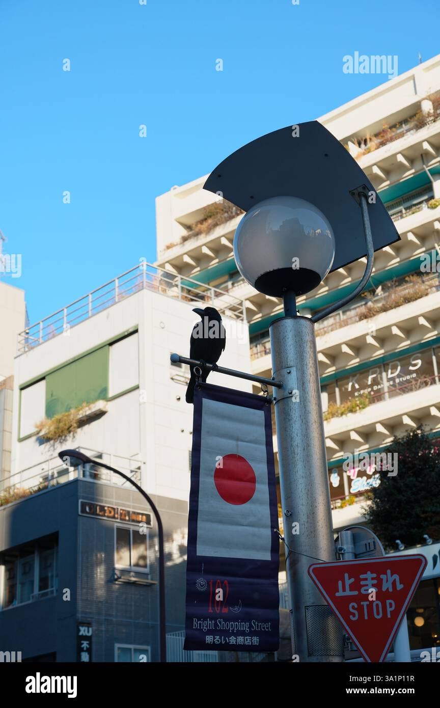 Krähe auf einer Straßenlaterne über einem japanischen Flaggenbanner Stockfoto