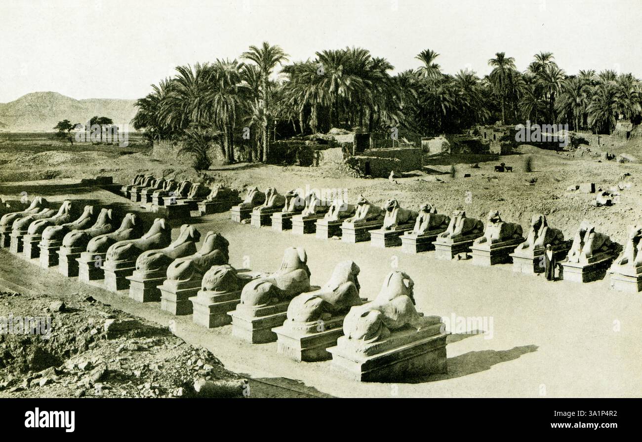 Dieses Foto aus dem Jahr 1925 zeigt Amuns heilige Straße, gesäumt von Widdern, die zum Tempel in Karnak in Theben führt. Es wird angenommen, dass dies der älteste Teil des prozessionalen Weges ist, der die Tempel von Karnak und Luxor verbindet. Die Straße ist gesäumt mit Figuren von sitzenden Widdern (siehe hier). Nicht wirklich Sphinxe, die Widderstatuen sind größer als die Criosphinxe (mythische Kreaturen mit den Körpern eines Löwen und dem Kopf eines Widders oder Gottes) der anderen Alleen. Jeder trägt die Kartusche von Pinudjem I. auf dem Sockel, aber es ist bekannt, dass sie das Werk von Amenhotep III. Sind Stockfoto