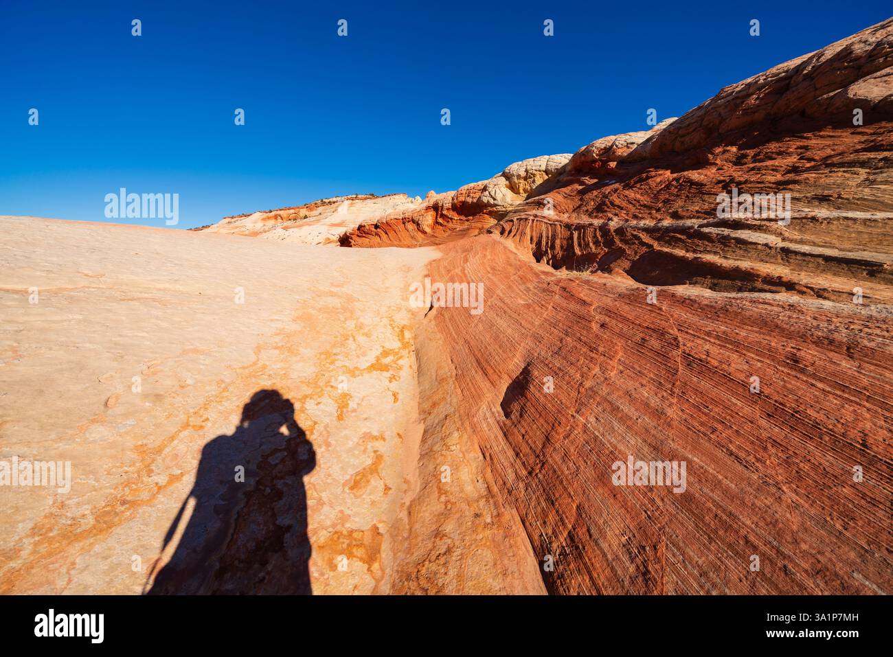Farbenfrohe Felsformationen zeigen auffällige Muster in White Pocket im Vermilion Cliffs National Monument, Arizona, USA Stockfoto
