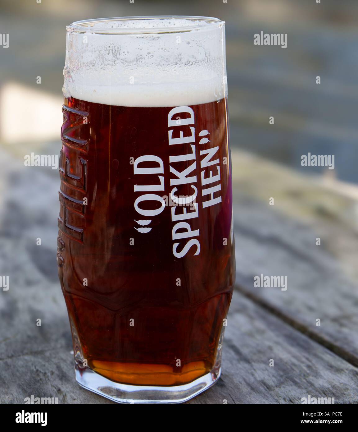 Ein Glas Bernsteinbier mit schäumendem Kopf mit der Aufschrift „Old Speckled Hen“, das draußen auf einem rustikalen Holztisch sitzt Stockfoto