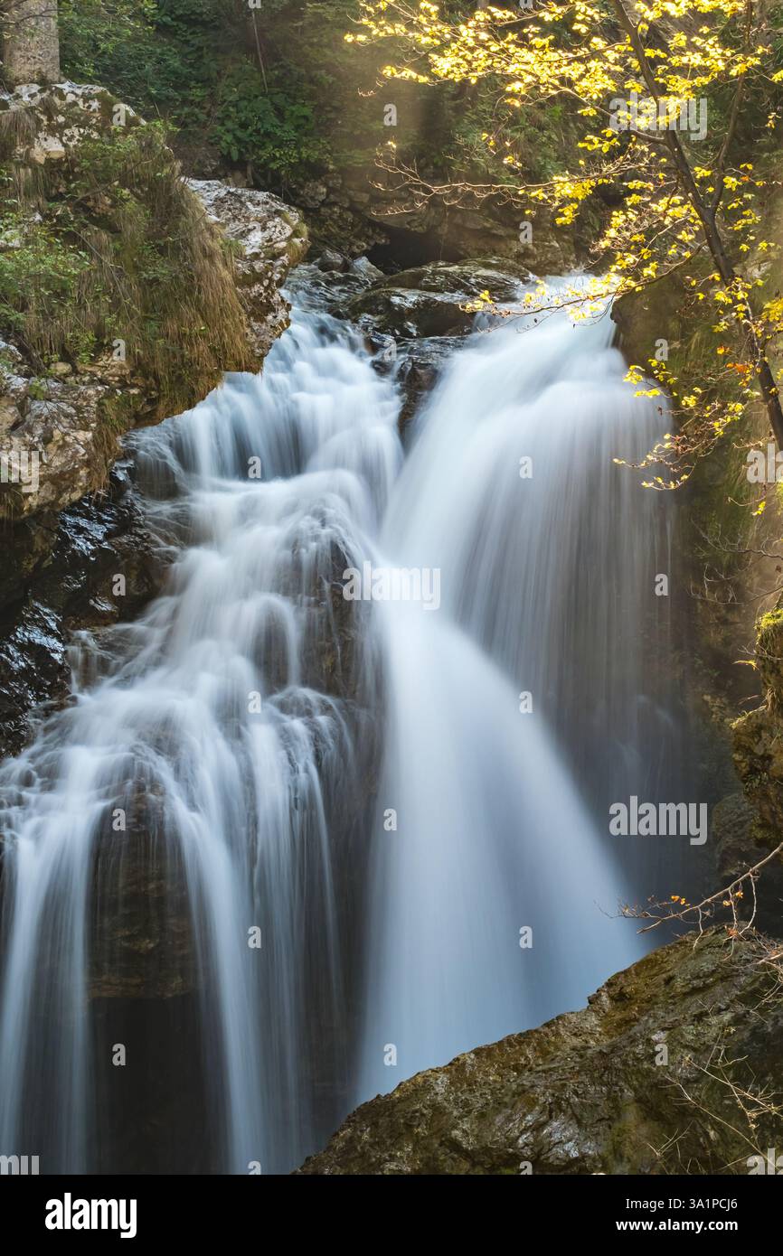 Wunderbarer Wasserfall in einem ruhigen Wald in Soteska Vintgar, Slowenien Stockfoto