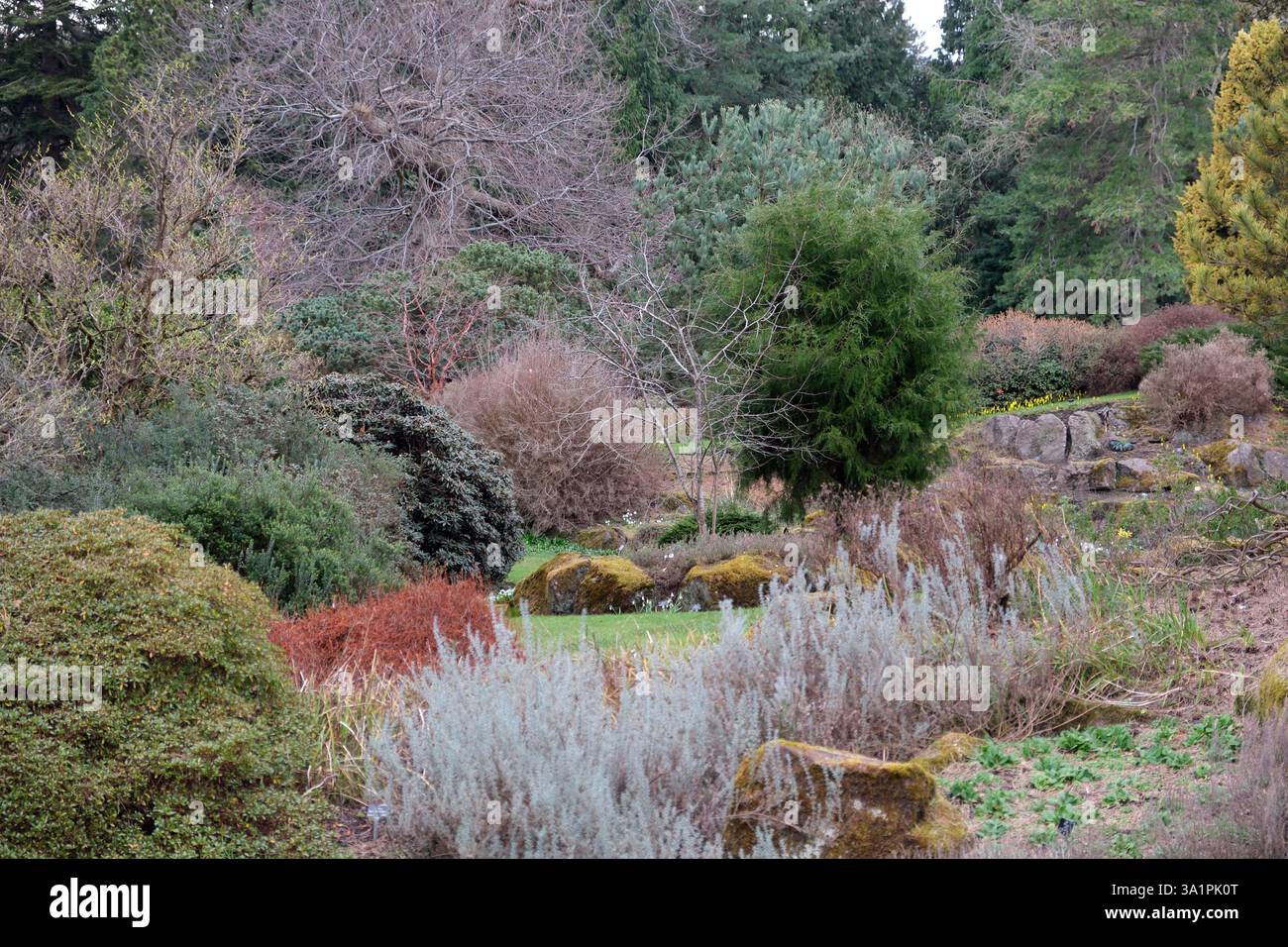 Winter im Royal Botanic Garden Edinburgh Stockfoto