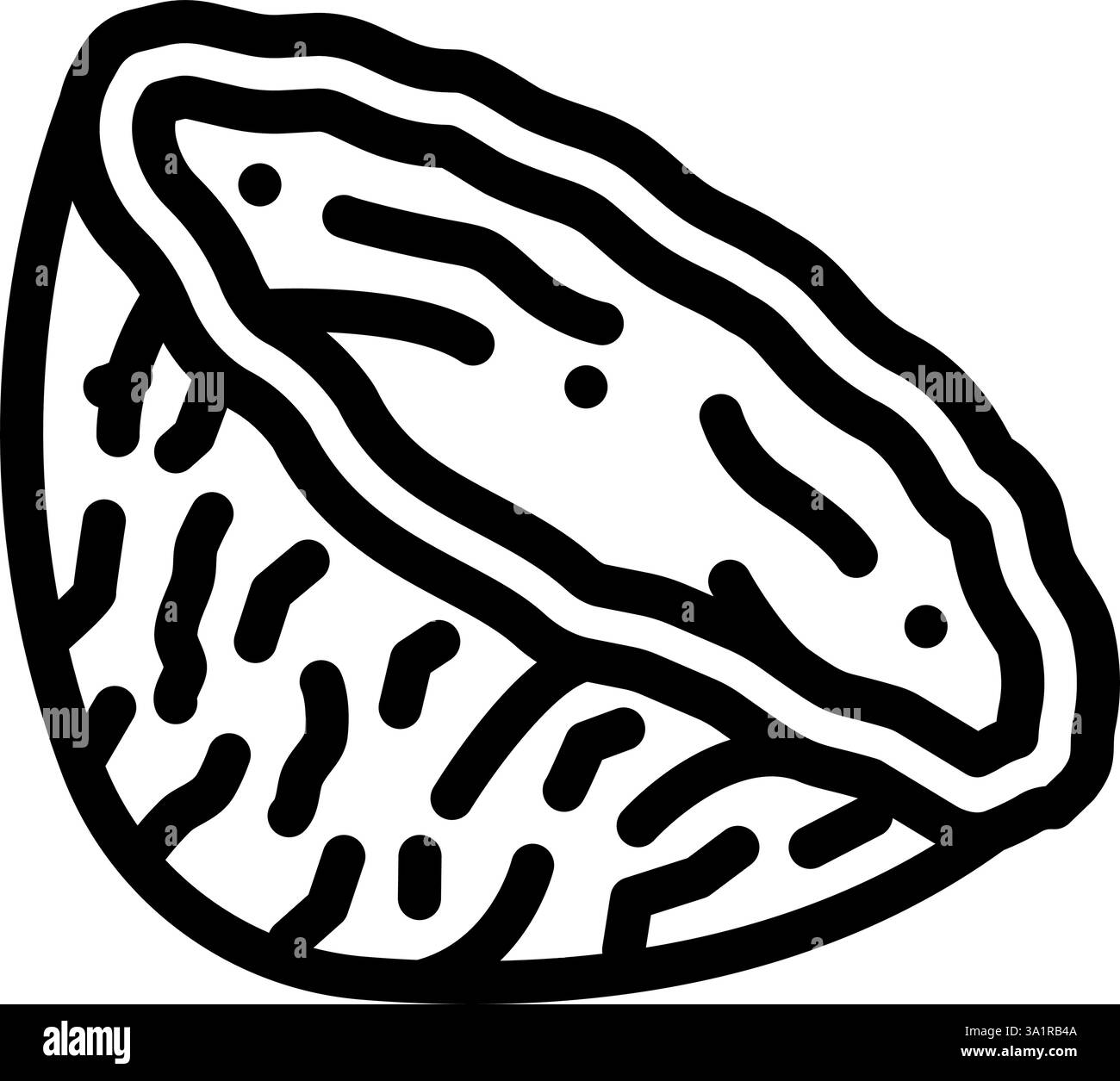 Kokosnussschale nachhaltige Schönheitslinie Symbol Vektor Illustration Stock Vektor