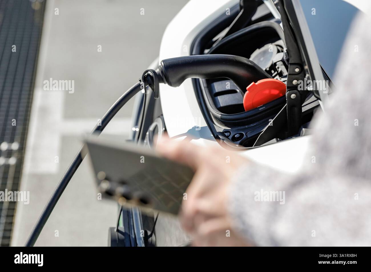 Nahaufnahme von Frauenhänden, die mit Smartphone interagieren und Elektroauto mit Applikation aufladen. Parkhintergrund. Stockfoto