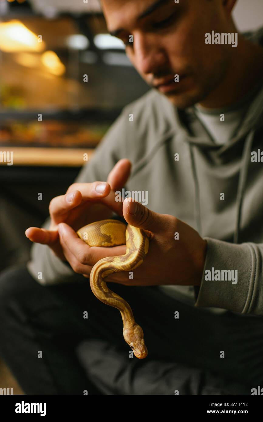 Ein junger Mann hält sanft eine Haustierschlange in der Nähe ihres Reptilienlebensraums Stockfoto