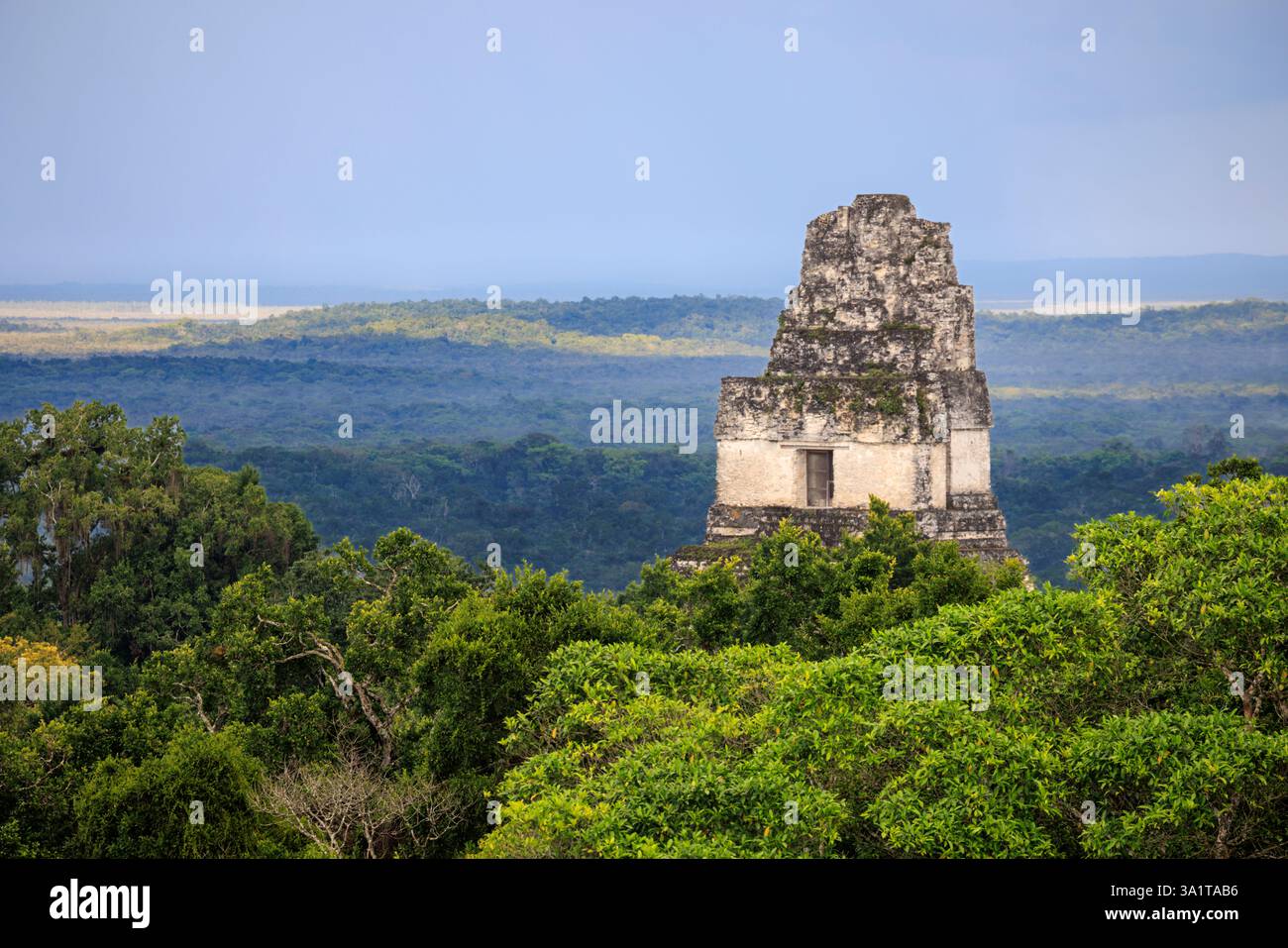 Maya-Tempel I, der aus dem Dschungel im Tikal-Nationalpark in Guatemala auftaucht Stockfoto