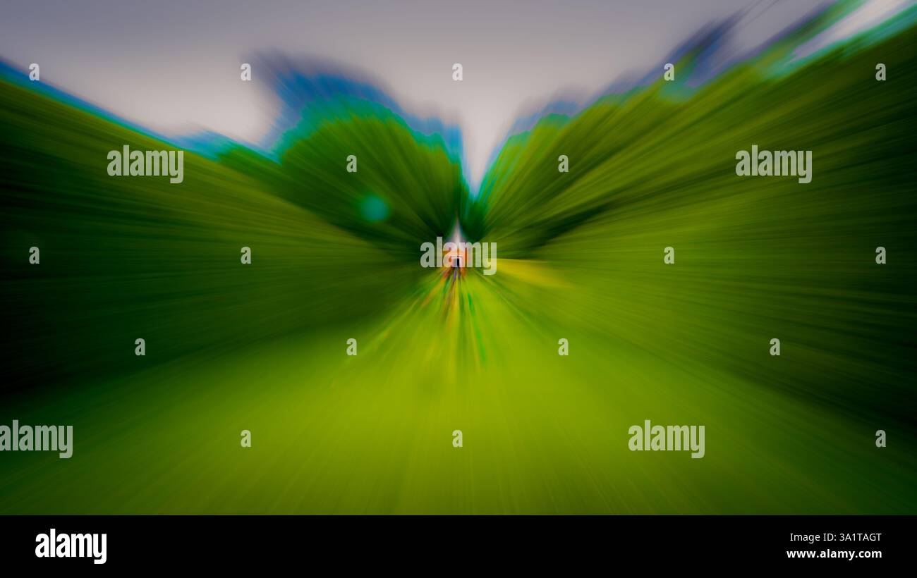 Ein Bild eines englischen Landgartens. Das Foto ist ein Langzeitbelichtungsbild einer Gartenfollikel mit Zoom, der einen Geschwindigkeitseffekt erzeugt Stockfoto