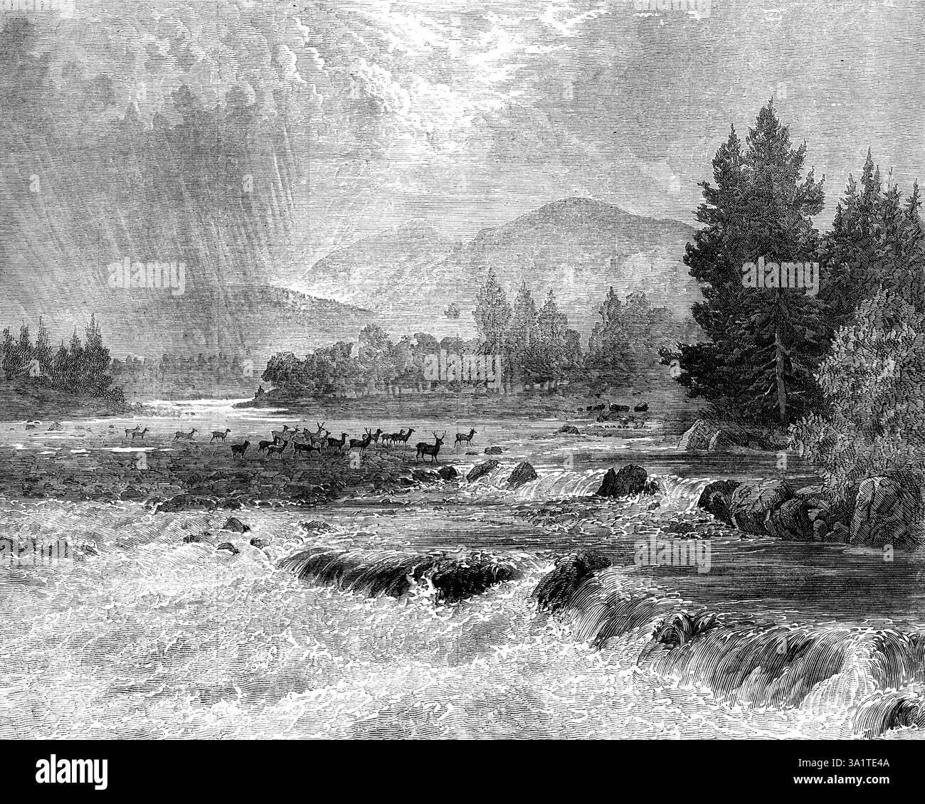 Passing Showers - Forest of Glentanner, Aberdeenshire, von E. A. Waterlow, 1873. „Das Bild, das wir gravieren, war in der letzten Ausstellung der Royal Academy... die Szene ist eine der vielen malerischen Ausblicke in die Wildnis des fernen Aberdeenshire. Sie umfasst fast alle Elemente der Bildlandschaft. Berg und Tal, oder "glen", Wald und Feld, Fluss und schnell, Felsen und Felsen, Wolken und Nebel, Sonne und Regen, tragen Sie zur Vervollständigung des umfassenden Panoramas bei. Die so geschickt in die Mitteldistanz eingeführte Hirschherde dient dazu, die weit reichende Einsamkeit zu durchbrechen Stockfoto