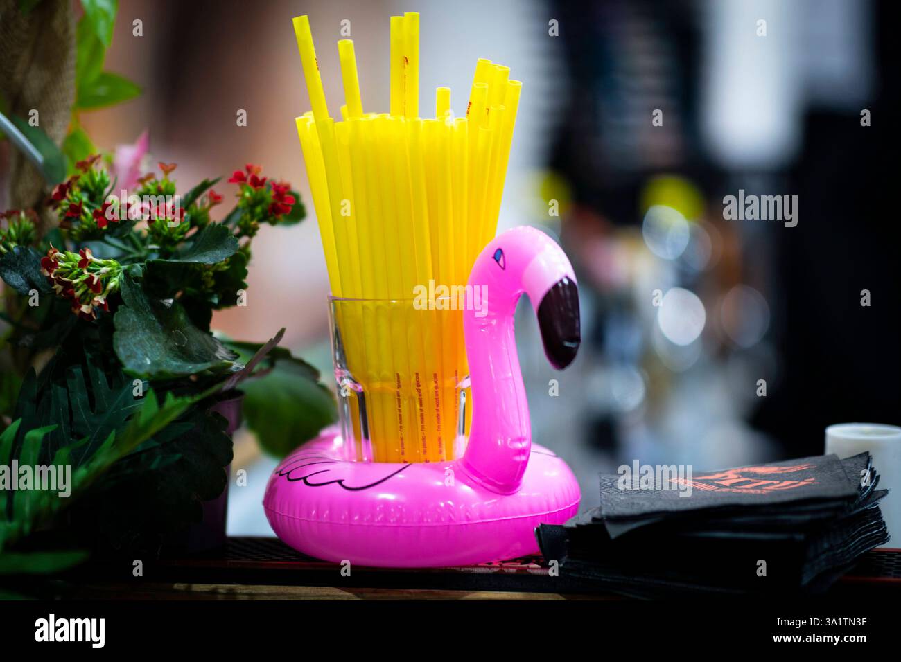 Nachhaltige Trinkhalme aufgenommen in Berlin, 22.01.2025. Berlin Deutschland *** nachhaltige Trinkhalme aufgezeichnet in Berlin, 22 01 2025 Berlin Deutschland Copyright: XAmreixSchulzx Stockfoto