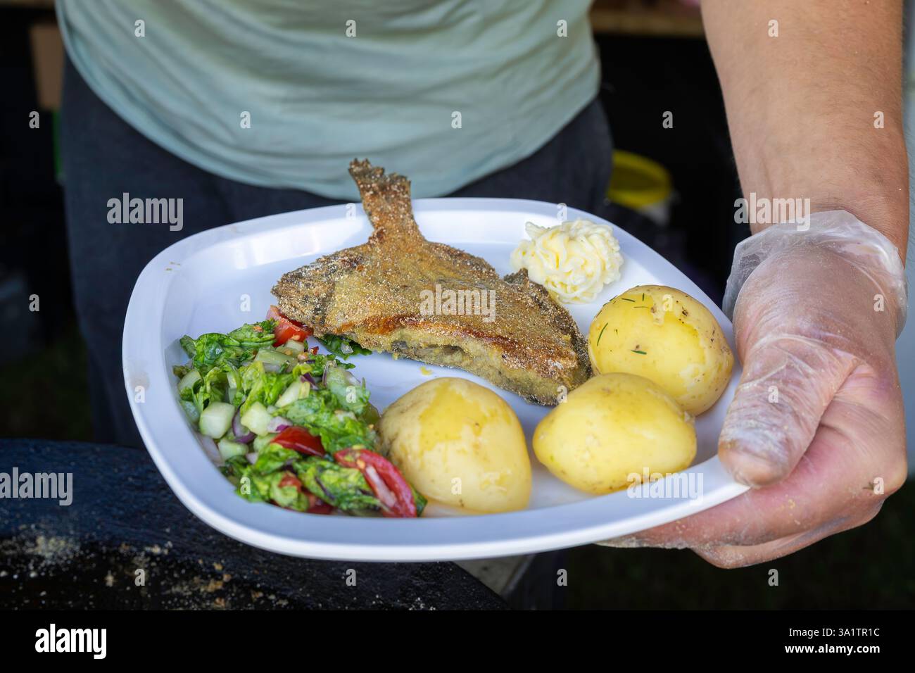 Gebratener Flunder Fisch mit Kartoffeln und Gemüsesalat. Fischgericht: Frittierter Plattfisch mit gekochten Kartoffeln. Stockfoto