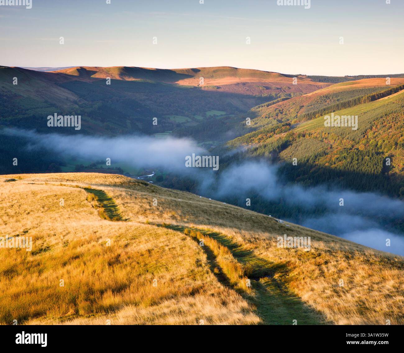 Fußweg über Tor y Foel mit Blick auf Glyn Collwn und Pant y Creigiau, Brecon Beacons National Park, Powys, Wales, Großbritannien. Herbst (Oktober) 2009 Stockfoto