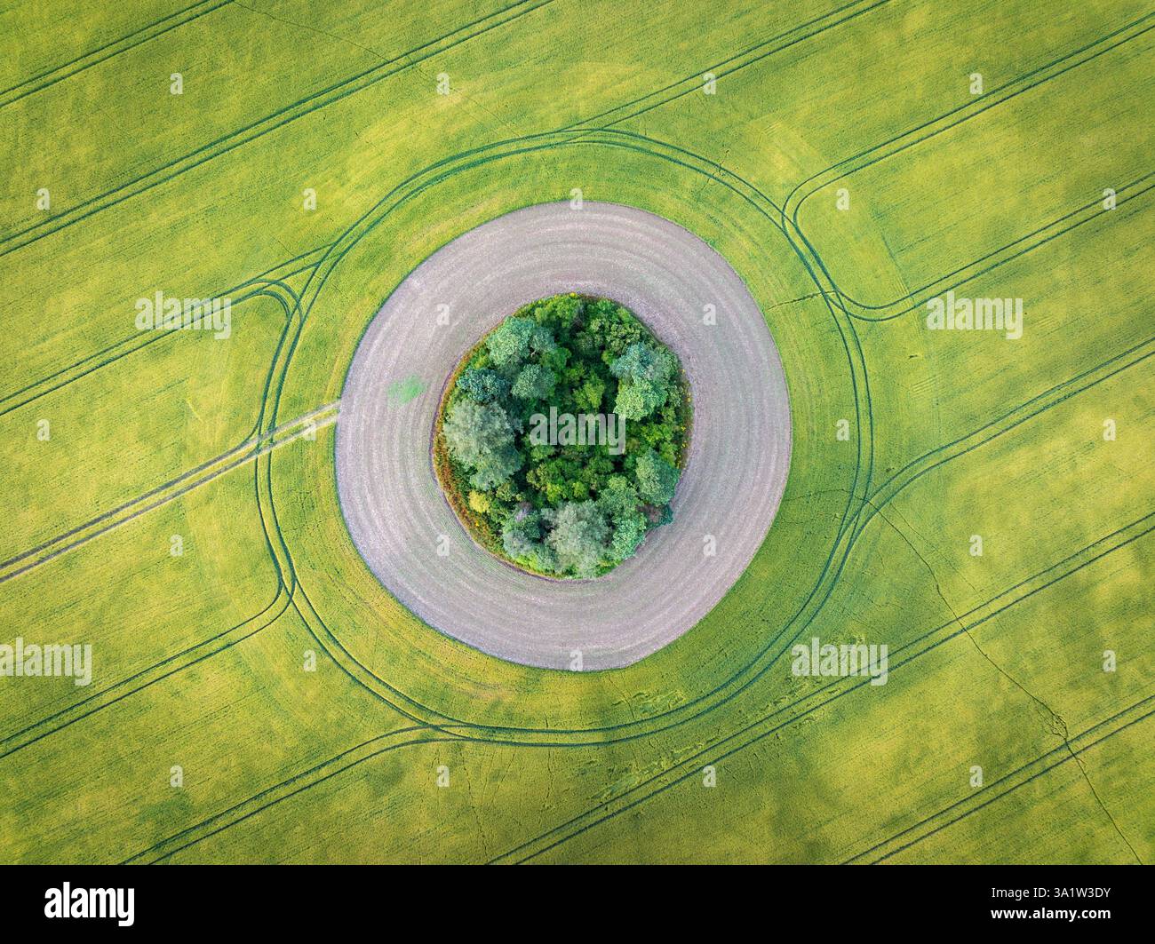 Luftaufnahme eines Tumulus in einem Kulturfeld, West Sussex, England. Sommer (Juli) 2024. Stockfoto