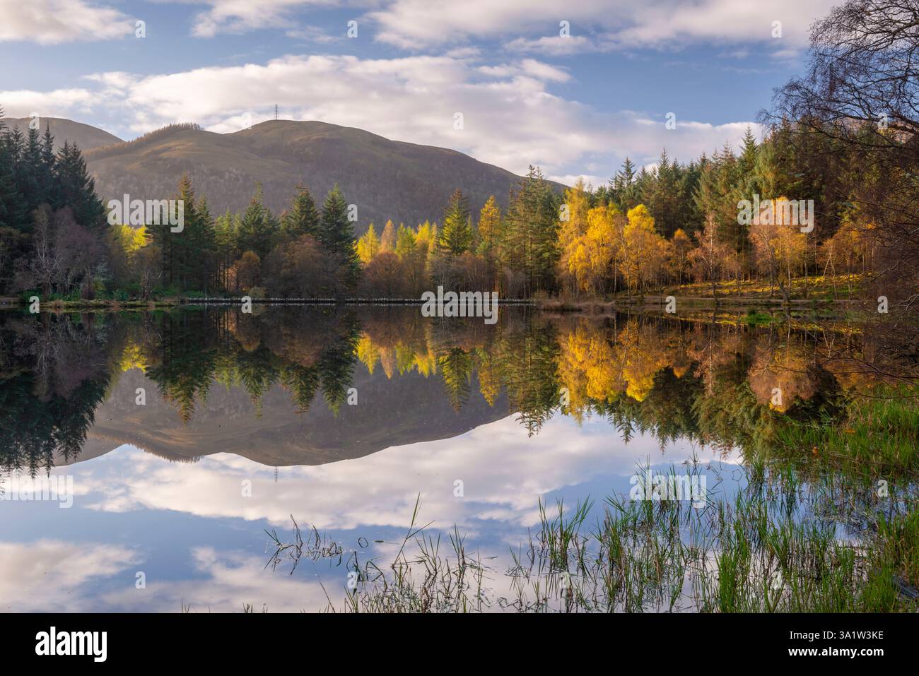 Herbstlaub spiegelt sich in Glencoe Lochan in den schottischen Highlands wider. Stockfoto