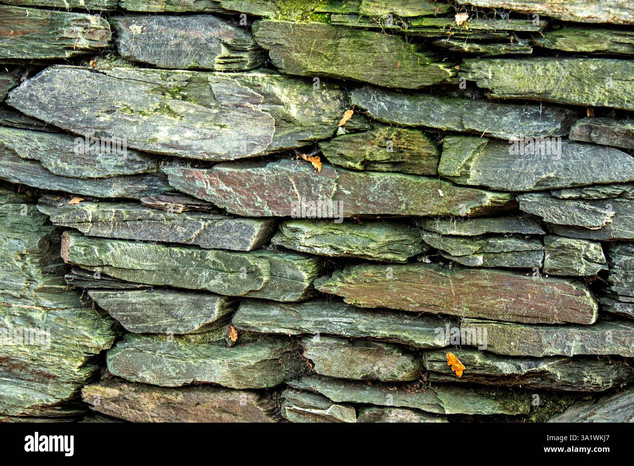 Eine blau graue ungeschnittene Schiefermauer Stockfoto