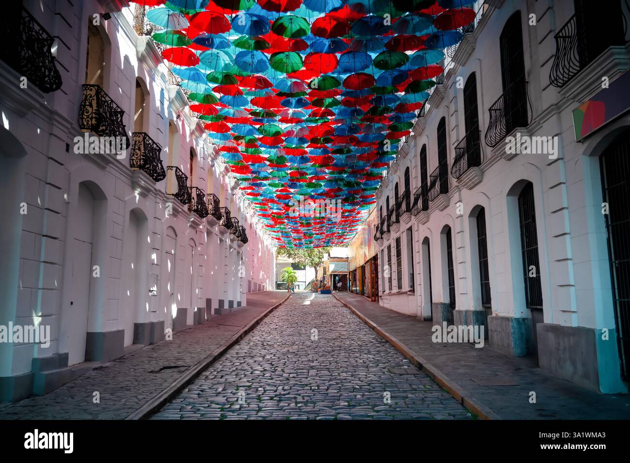 Bunte Regenschirme hängen über einer lebhaften Straße in Caracas, Venezuela. Stockfoto Bunte Regenschirme hängen über einer lebhaften Straße in Caracas, Venezuela. Stockfoto