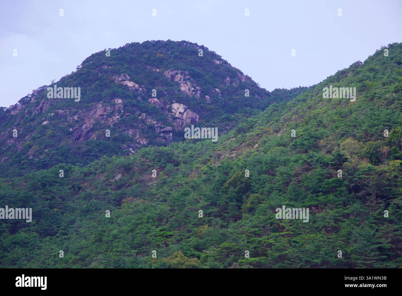 Namwon City, Südkorea - 3. Oktober 2021: Ein zerklüfteter Berg mit dichten Kiefernwäldern und freiliegenden Felsformationen erhebt sich über die Landschaft, Schaukäse Stockfoto
