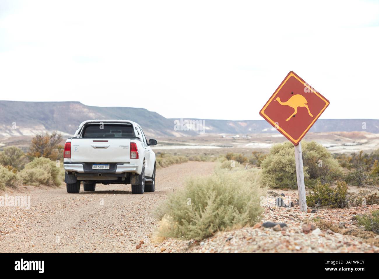 Ein Warnschild für choike Tiere im Bosques Petrificados de Jaramillo Nationalpark, Santa Cruz, Deseado, Patagonien, Argentinien. Stockfoto