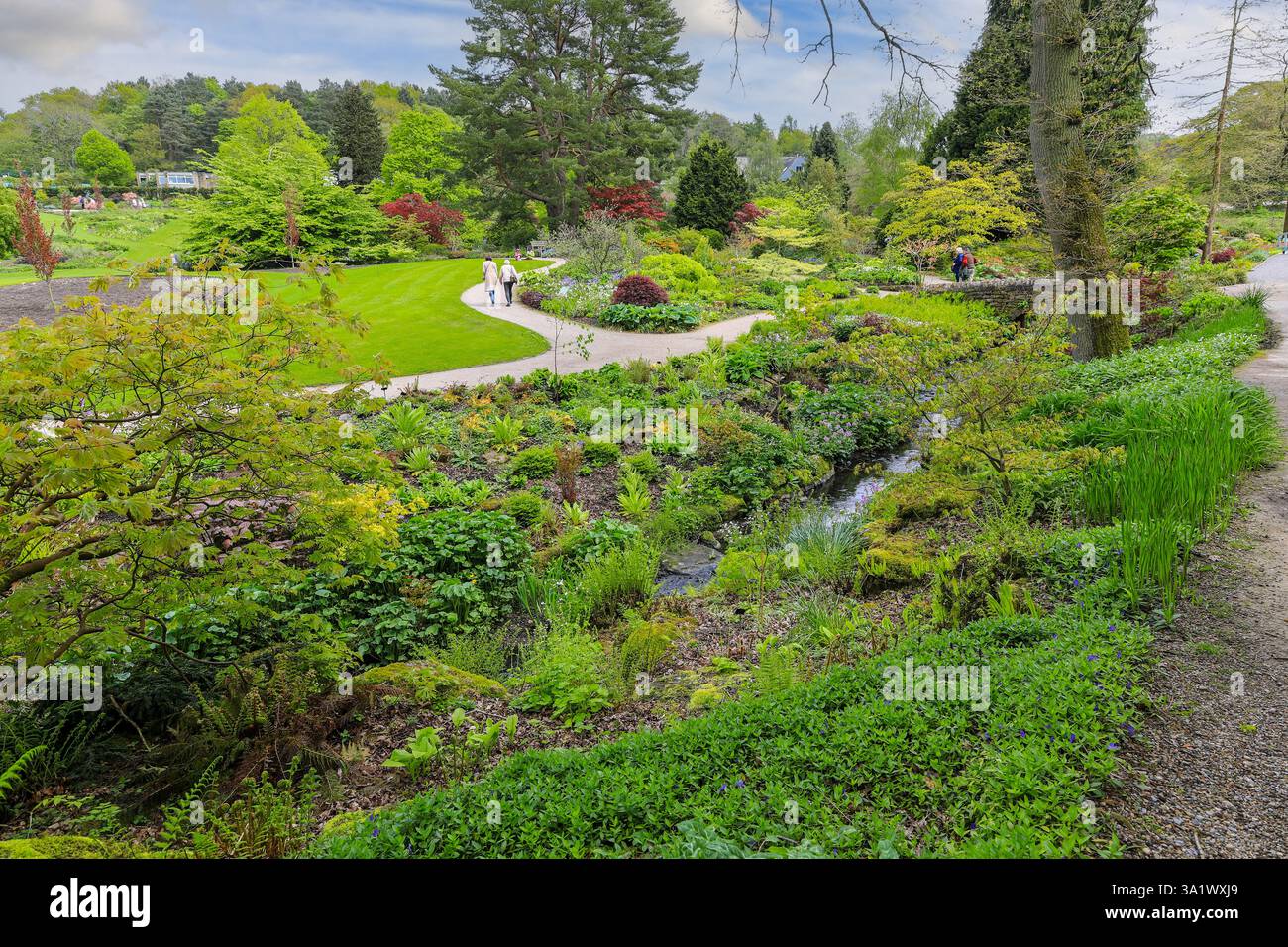 RHS Harlow Carr Gardens, Harrogate, Yorkshire, England, Großbritannien Stockfoto