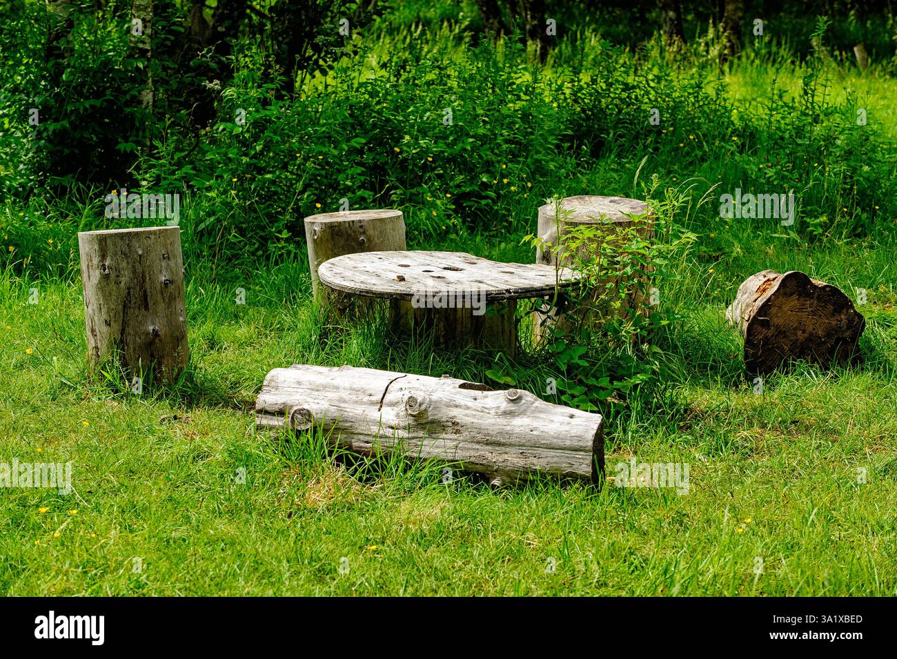 Holzstämme und ein runder Tisch schaffen einen gemütlichen Sitzbereich, umgeben von lebhaftem Grün in einer ruhigen Waldlage. Stockfoto