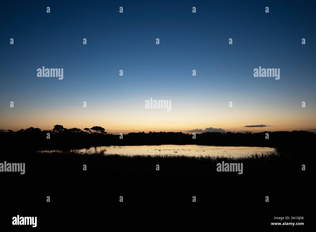 Landwirtschaftliches Reservoir Bawdsey Suffolk Stockfoto