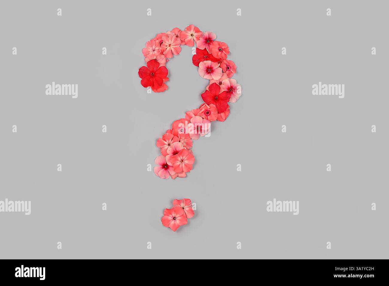 Symbol aus echten frischen Blumen. Kreatives Design mit Blumenmotiven. Einzigartige Sammlung von Buchstaben und Zahlen für Design. Frühling, Sommer, Herbst und Valentinstag Stockfoto