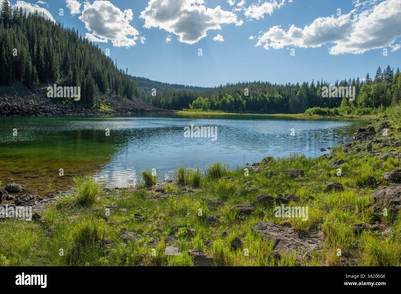 South Mesa Lake auf Colorado's Grand Mesa, entlang des Lost Lake Trail. Stockfoto