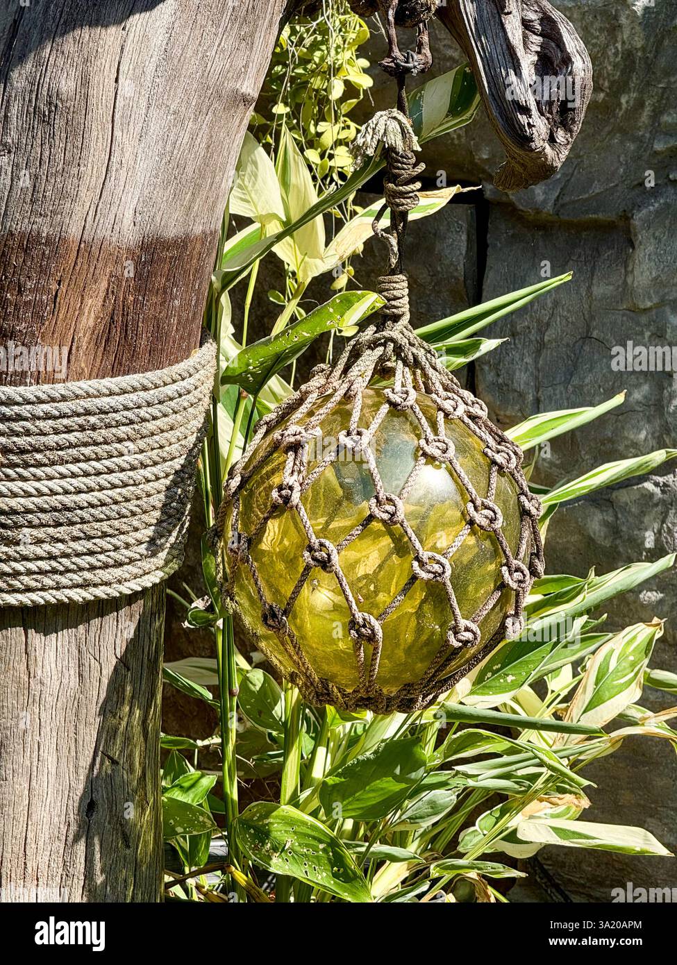 Hängender grüner Glasschwimmer in ein Seilnetz gewickelt Ein grüner Glasschwimmer, umhüllt von einem verwitterten Stück Holz. Umgeben von tropi - Smartphone-aufgenommenes Stockfoto