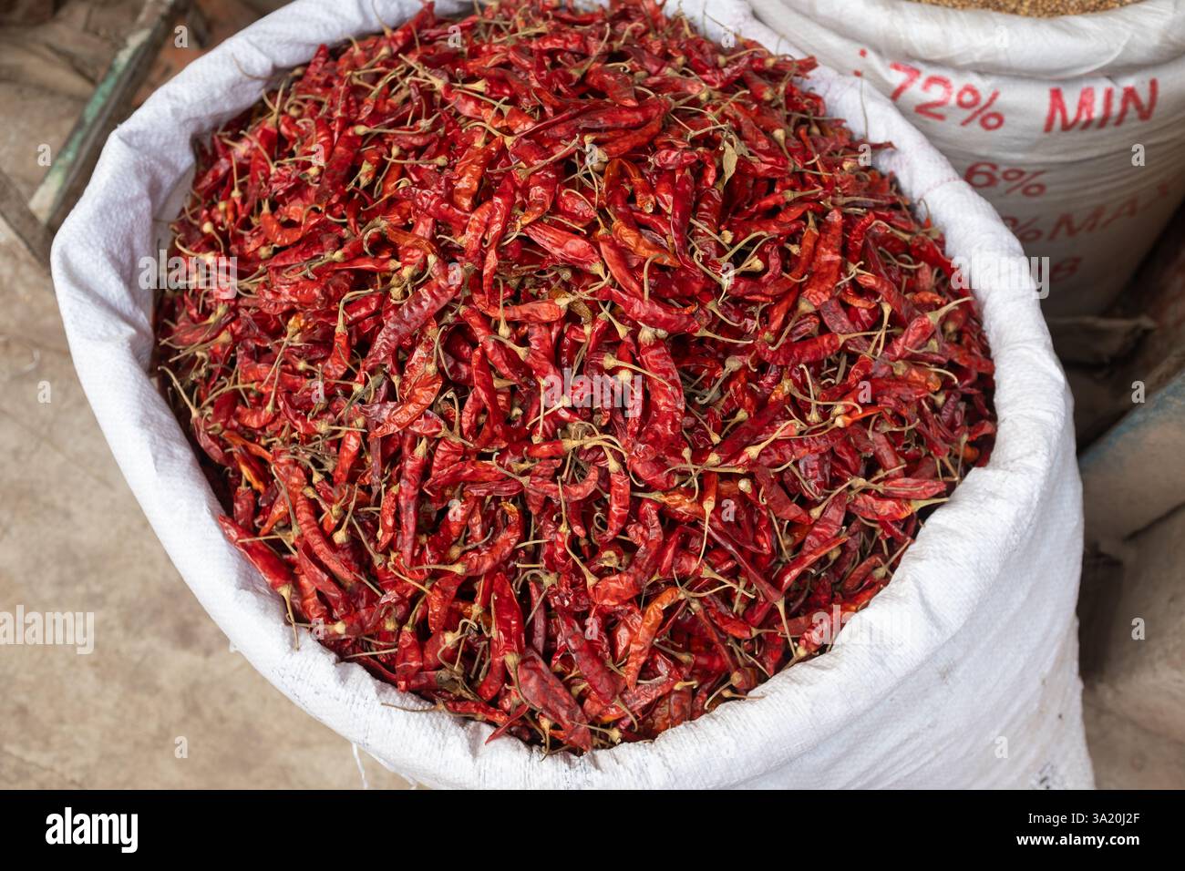 Heiße Paprika, Dhaka, Bangladesch Stockfoto