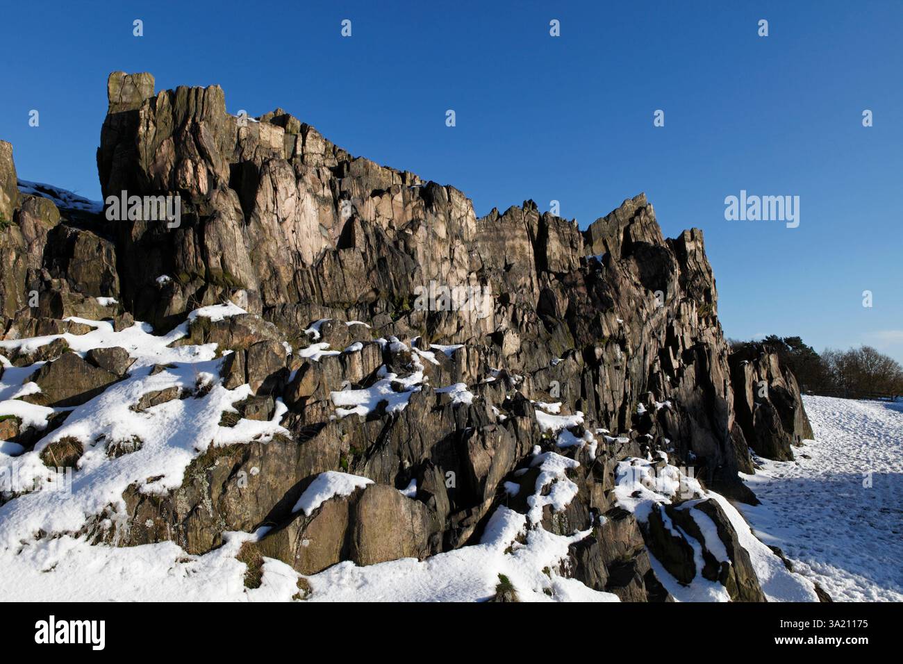 Felsen am Beacon Hill, Leicestershire. Gebildet durch komprimierte feine vulkanische Asche. Extrem hart und witterungsbeständig. Stockfoto