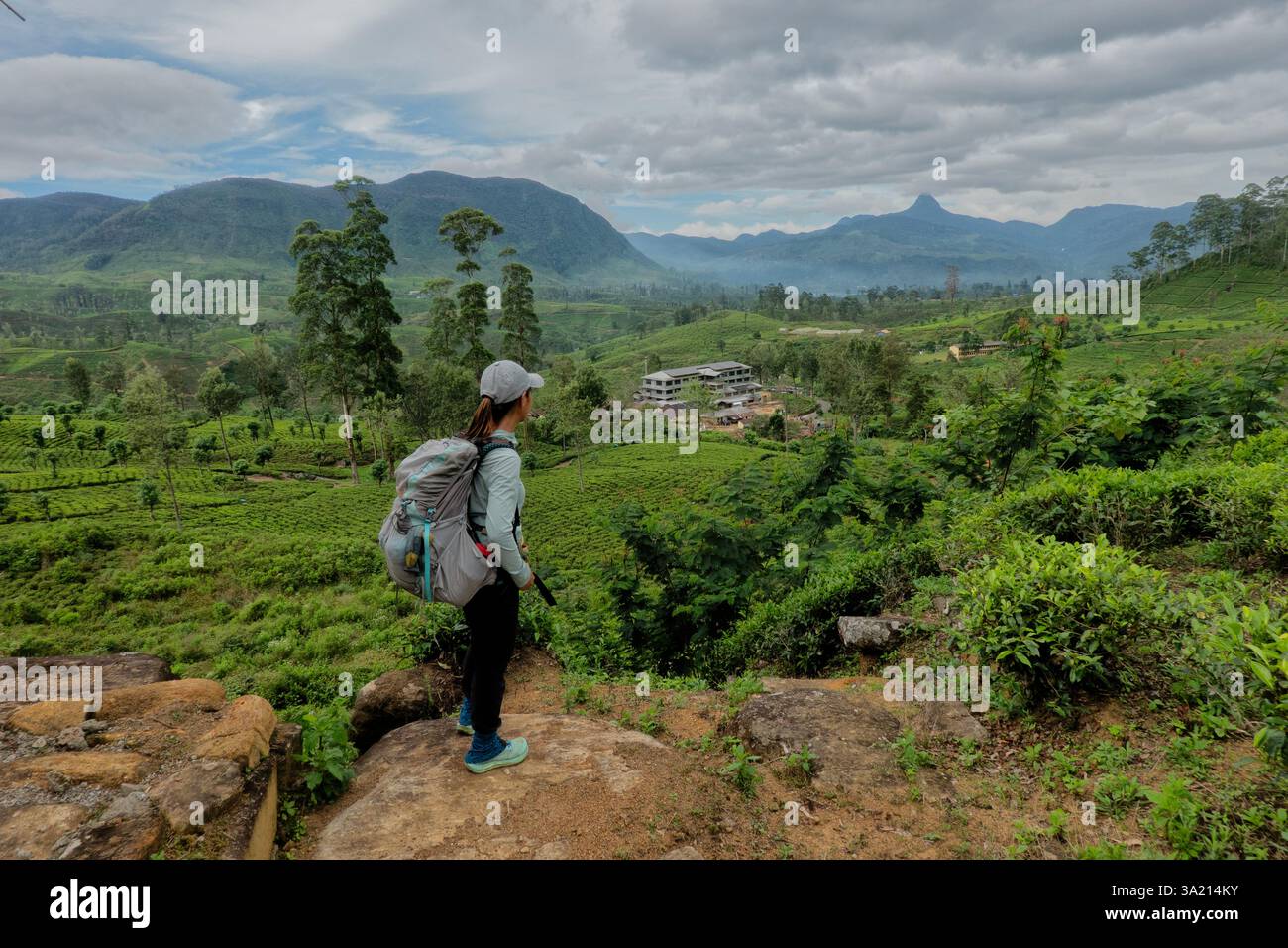 Blick auf Mount Adams vom Pekoe Trail, Norwood, Sri Lanka Stockfoto