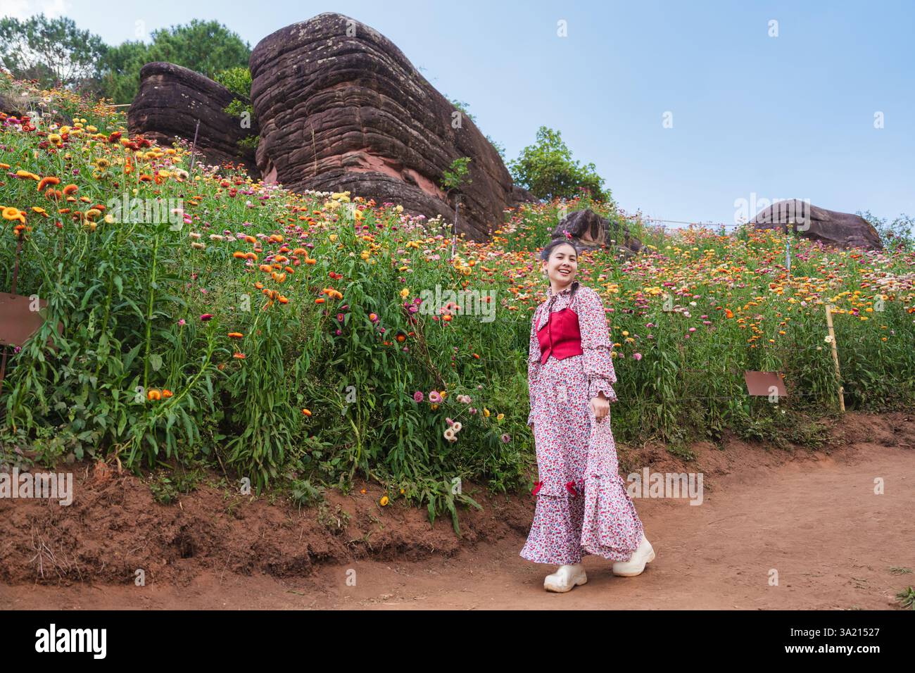 Schöne asiatische Frau genießt im Urlaub im Phu hin Rong KLA Nationalpark, Thailand, Strohblume oder ewiges Blumenblühfeld Stockfoto