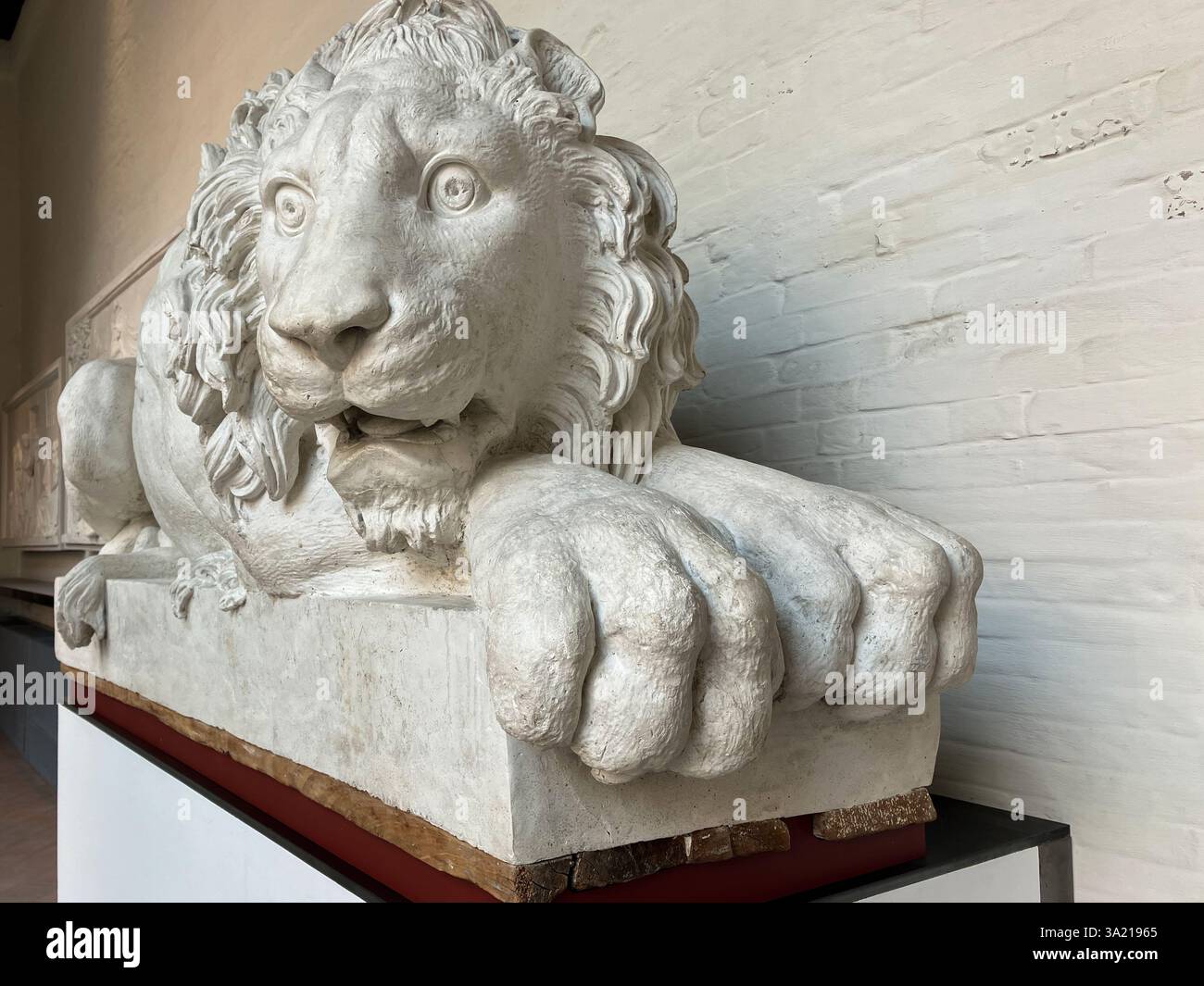 'Lions' von Antonio Canova, Material - Gips, 1783-1792. Venedig, Italien, Gallerie dell'Accademia Stockfoto