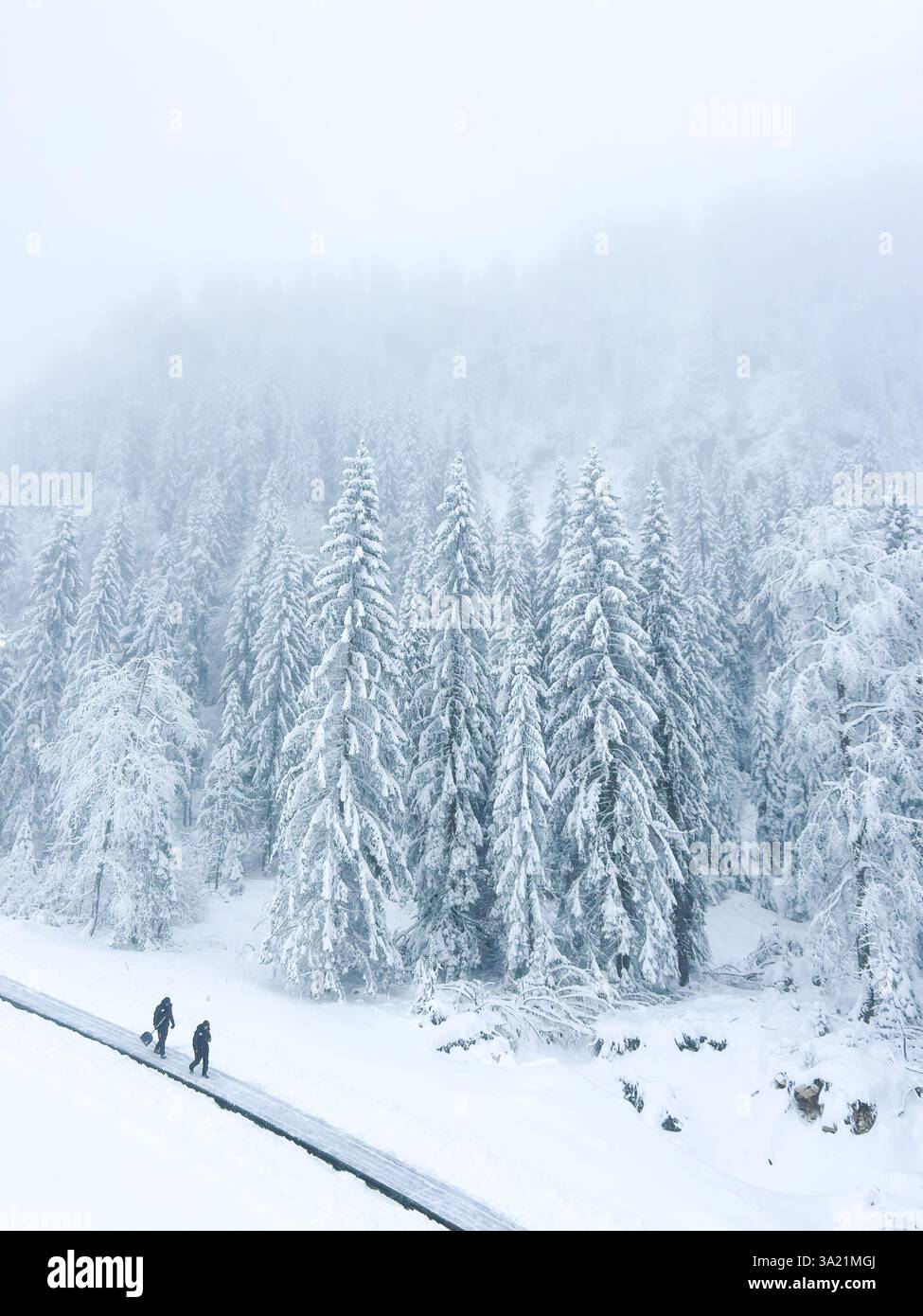 Eine Skipiste auf dem Olympischen Berg Jahorina verblasst in den nebeligen Nebel und schafft eine geheimnisvolle und ruhige Winteratmosphäre - Smartphone-aufgenommenes Stockfoto