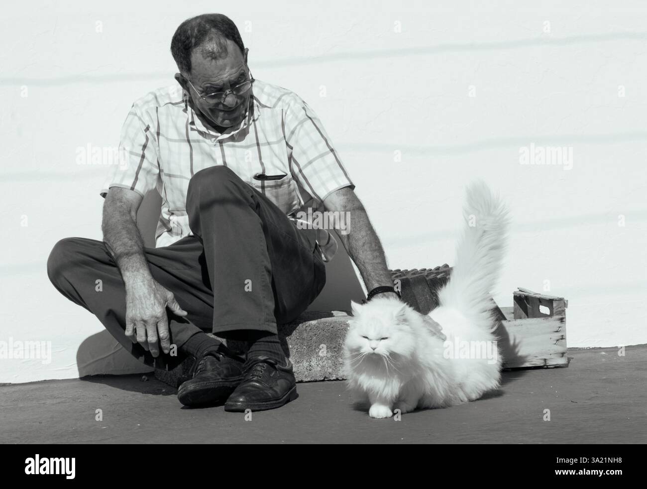 Schwarz-weiß-Bild eines Mannes, der seine weiße persische Katze streichelt, Konzept: Alte Menschen und ihre Haustiere Stockfoto