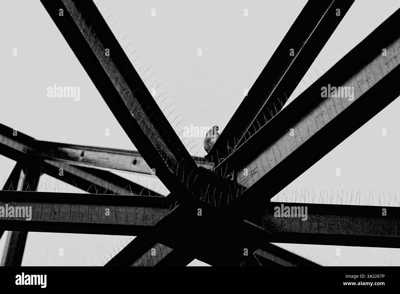 Schwarz-weiße Nahaufnahme einer genieteten Stahlbrückenkonstruktion mit abstrakter geometrischer Industriekomposition. Stockfoto