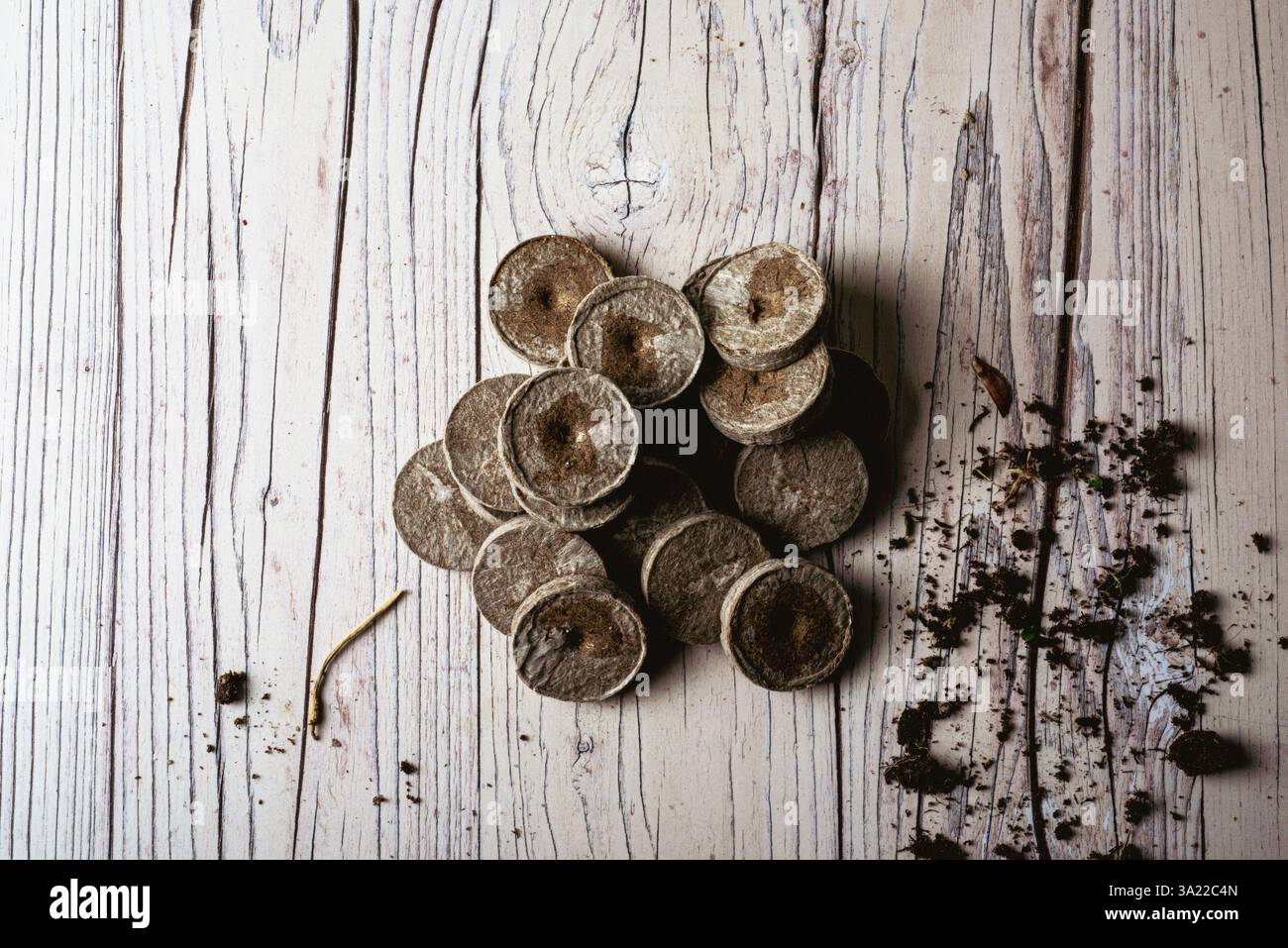 Haufen von Jiffy 7 Kompost-Dübeln in einer Arbeitsfläche im Gartenhaus: Phillip Roberts Stockfoto