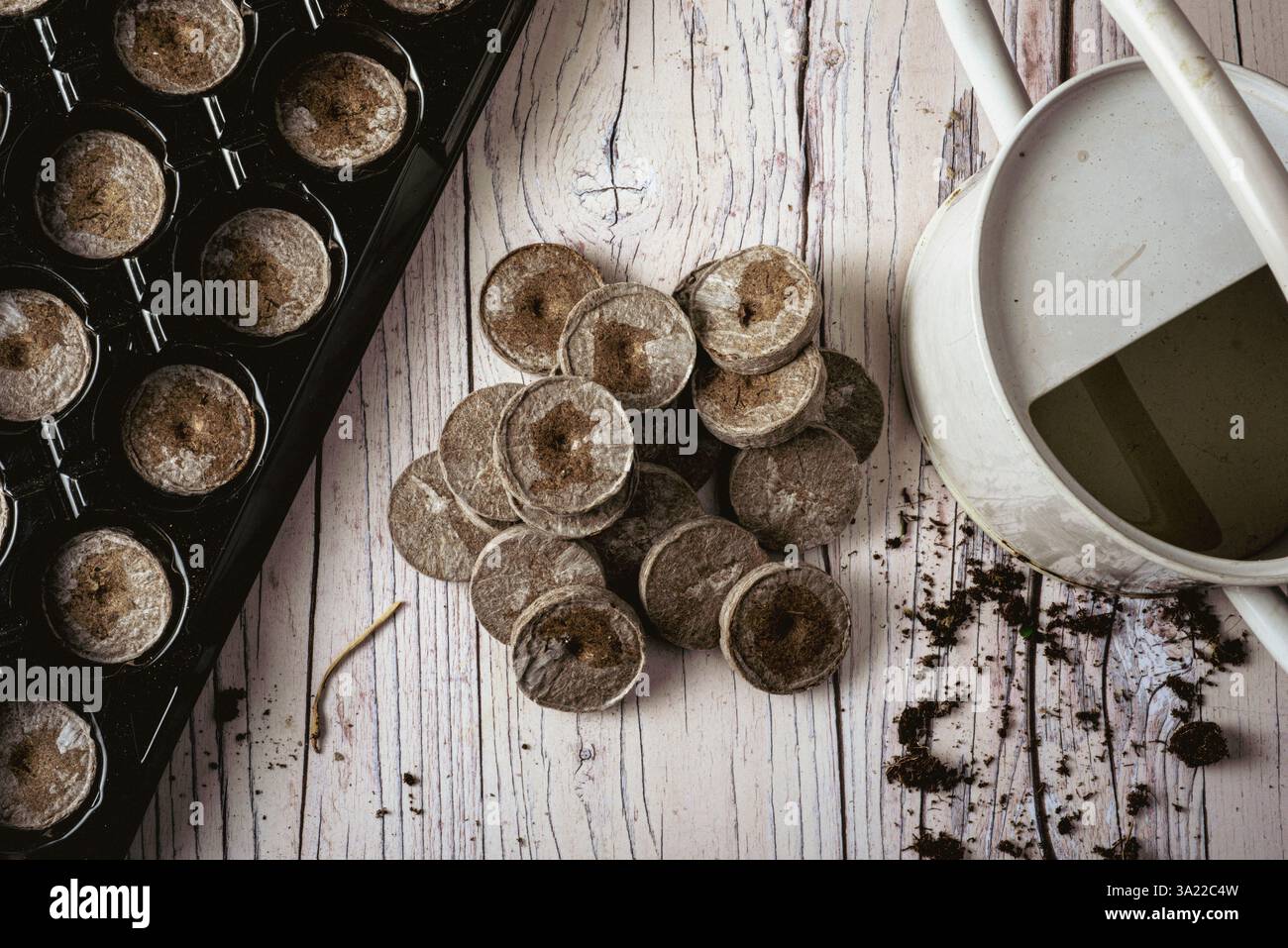 Haufen von Jiffy 7 Kompost-Dübeln in einer Arbeitsfläche im Gartenhaus: Phillip Roberts Stockfoto