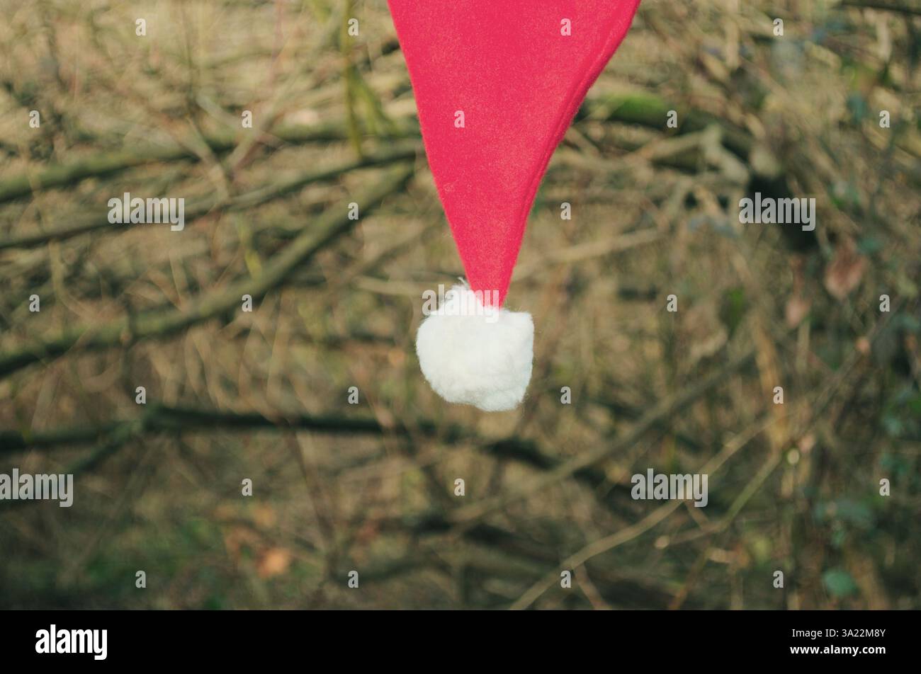 Der Weihnachtsmann-Hut hängt kopfüber im Wald Stockfoto