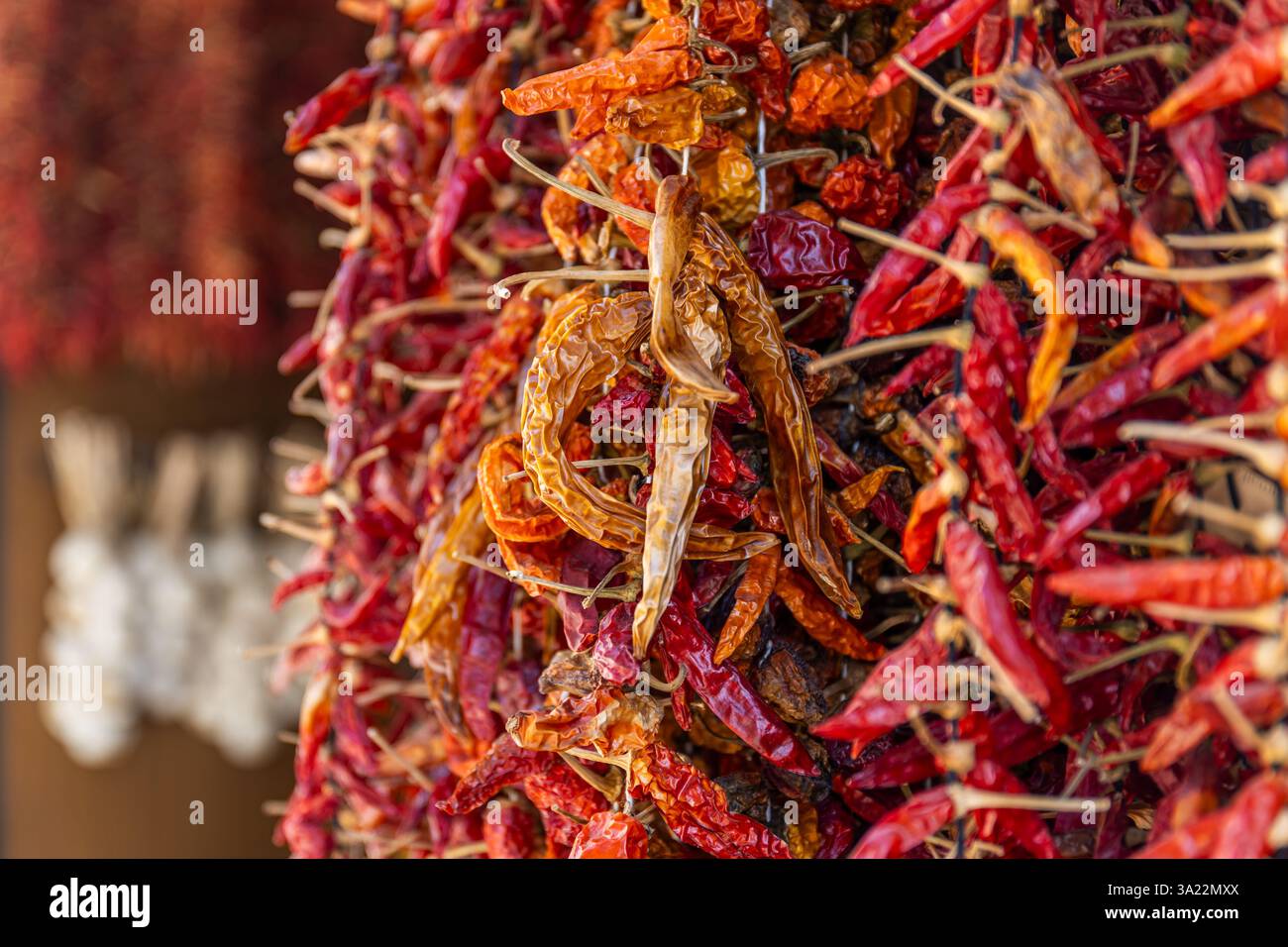 Getrocknete rote Chilischoten als Dekoration Stockfoto