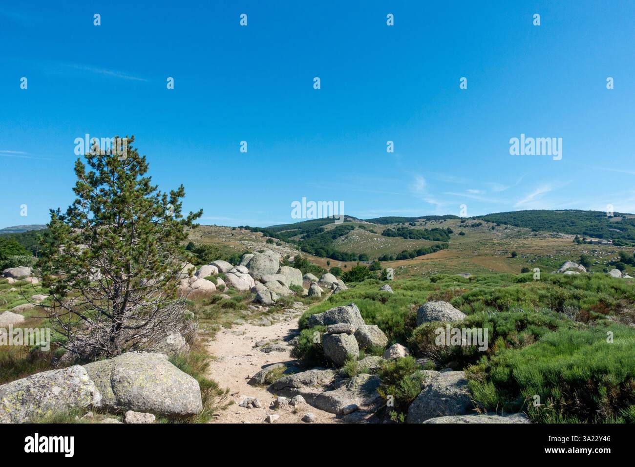 Landschaft am Pont de Montvert - Sud Mont Lozère, im Nationalpark Cevennen (Südfrankreich) Stockfoto