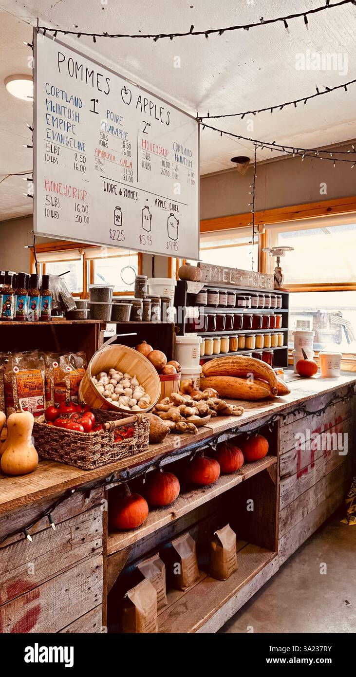 Eine wunderschön organisierte Ausstellung frischer, biologischer Produkte an einem rustikalen Bauernstand in Cocagne Canada, umgeben von sanftem, leichtem Bio-Markt am Morgen - Smartphone-aufgenommenes Stockfoto
