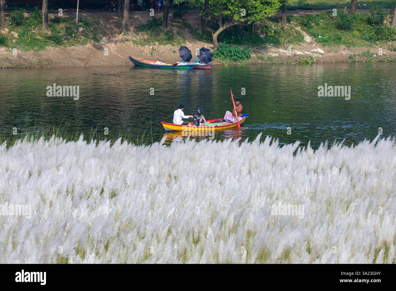 Ein Paar fährt mit einem Boot über einen See, taucht in die Schönheit der blühenden Kans Grasblumen ein und feiert das Wesen des Herbstes am Rande Stockfoto